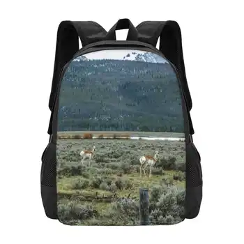 Ma Olin Otsisime' Tagasi, Et Näha, Hot Müük Seljakott Fashion Bags Antiloop Pronghorn Metsloomade Custer Maakond Idaho Lõhe Jõgi